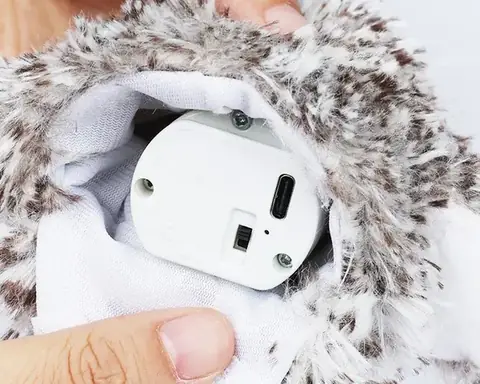 Entrada USB-C da bateria recarregável da Corujinha